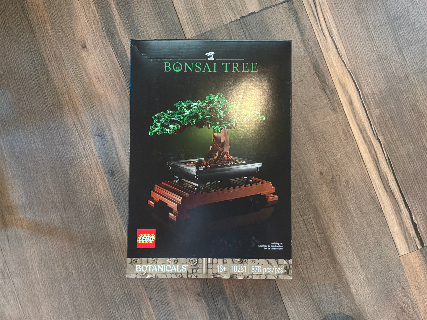 Bonsai tree