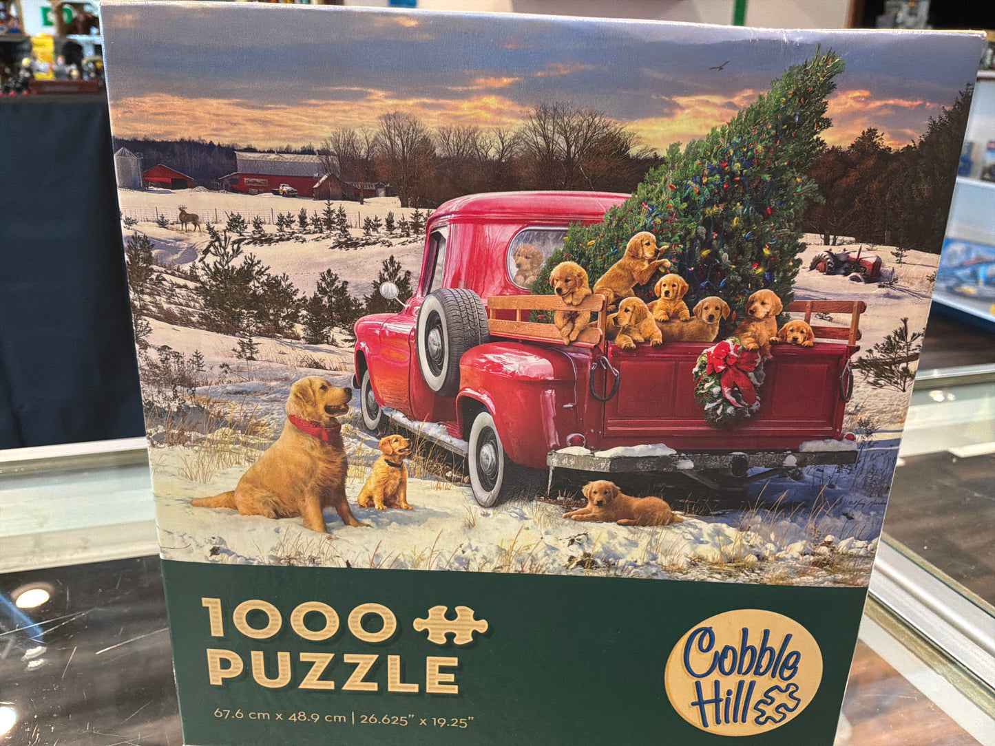 Family Outing 1000 pcs As Is