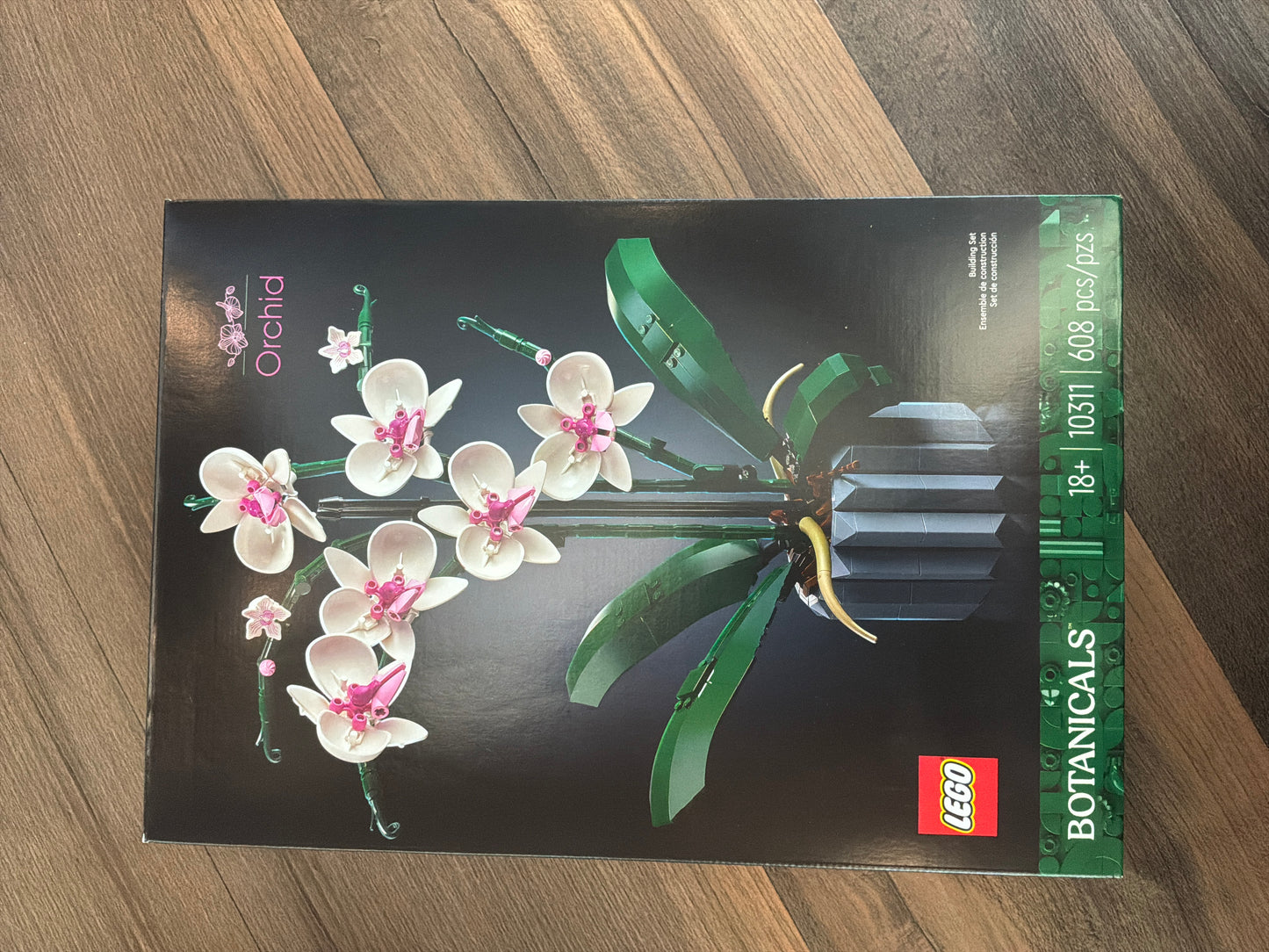 Floral - orchid (10311)