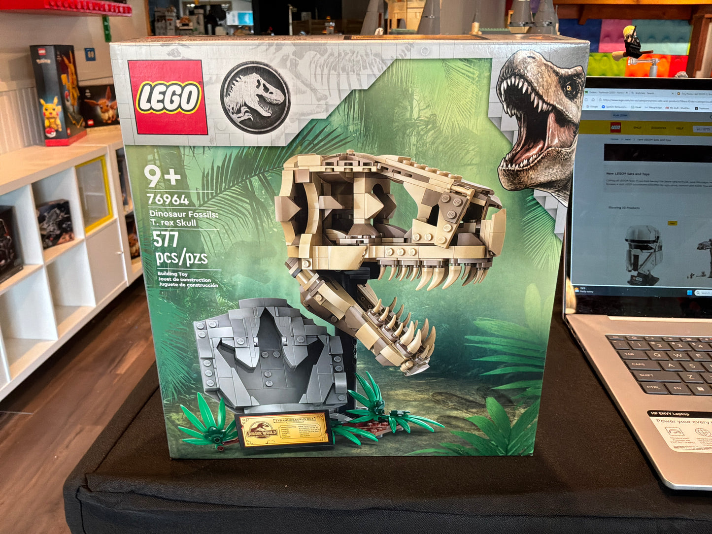 T. rex skull