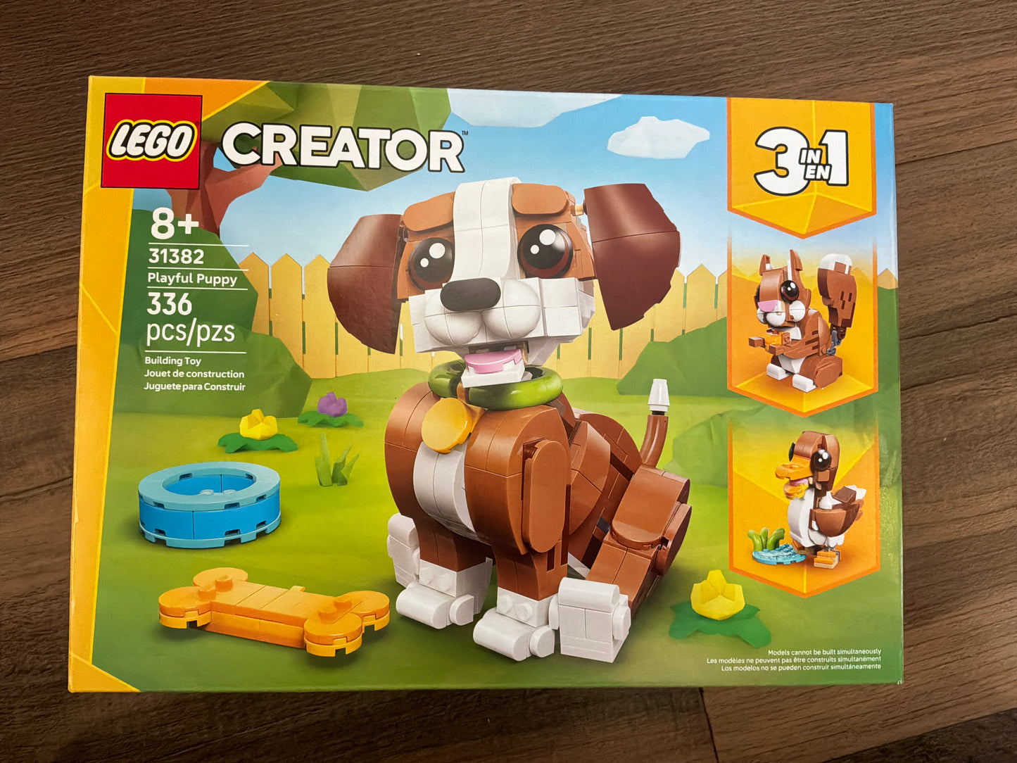 Creator - playful puppy (31382)