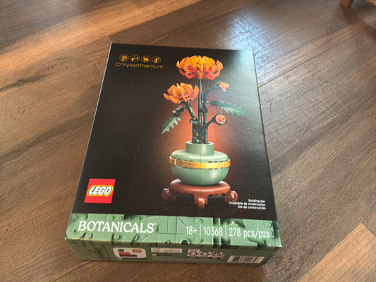Chrysanthemum