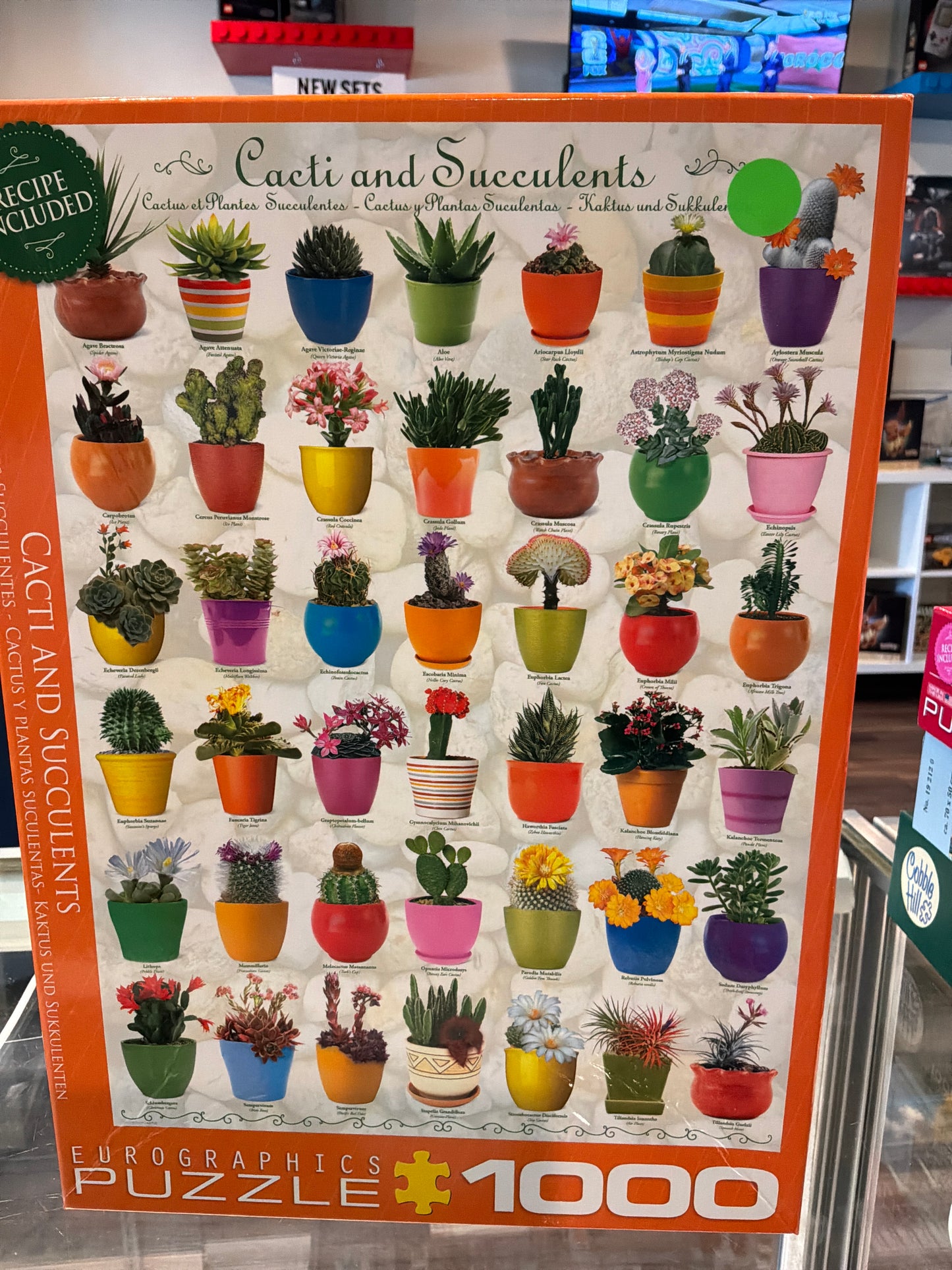 Cacti and Succulents 1000 pcs Verified